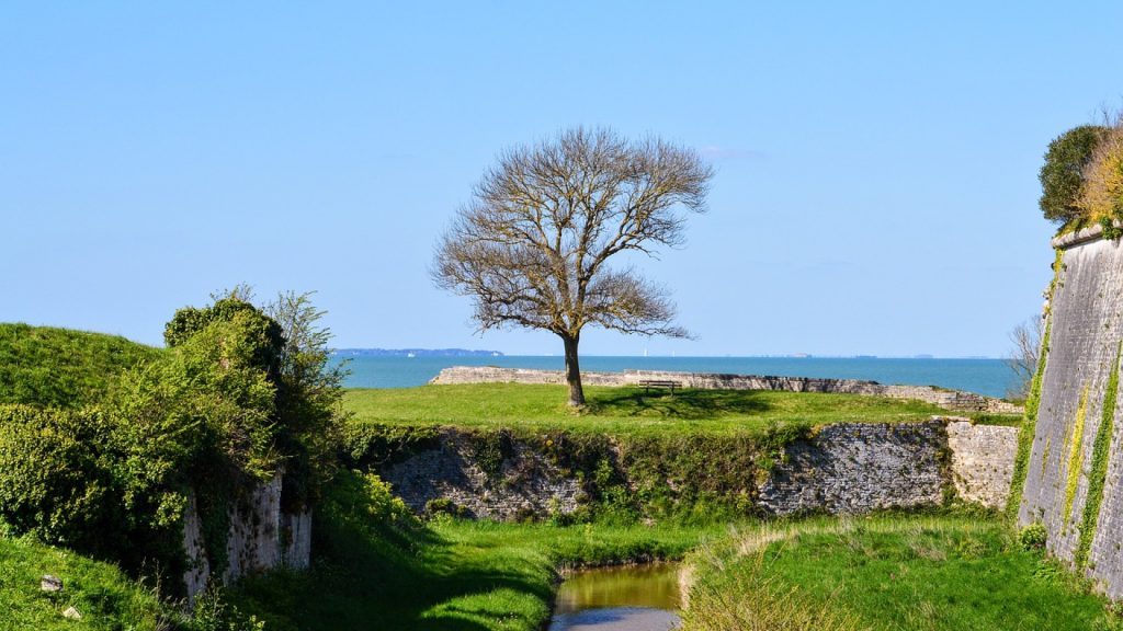 Vacances sur l’île d’Oléron : découvrez un havre de paix !